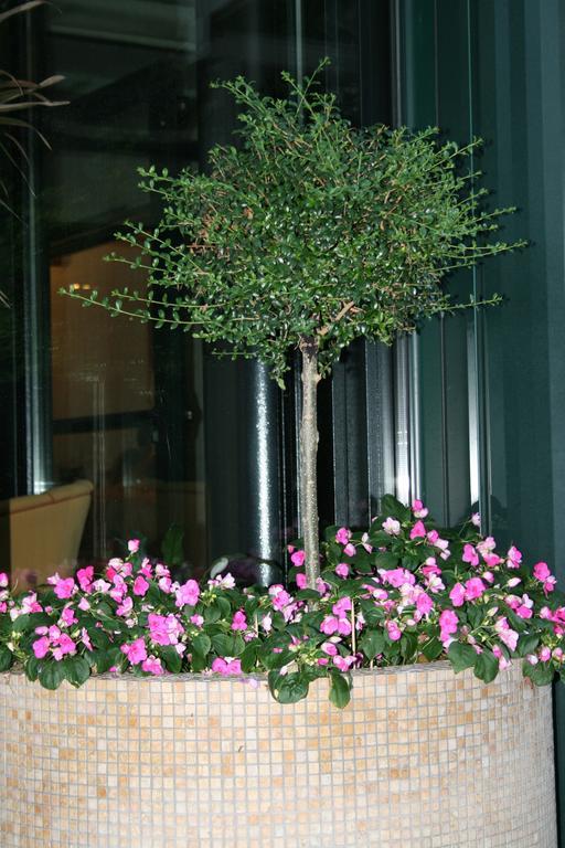 רוזטו דליי אברוצי La Perla B&B Hotel מראה חיצוני תמונה